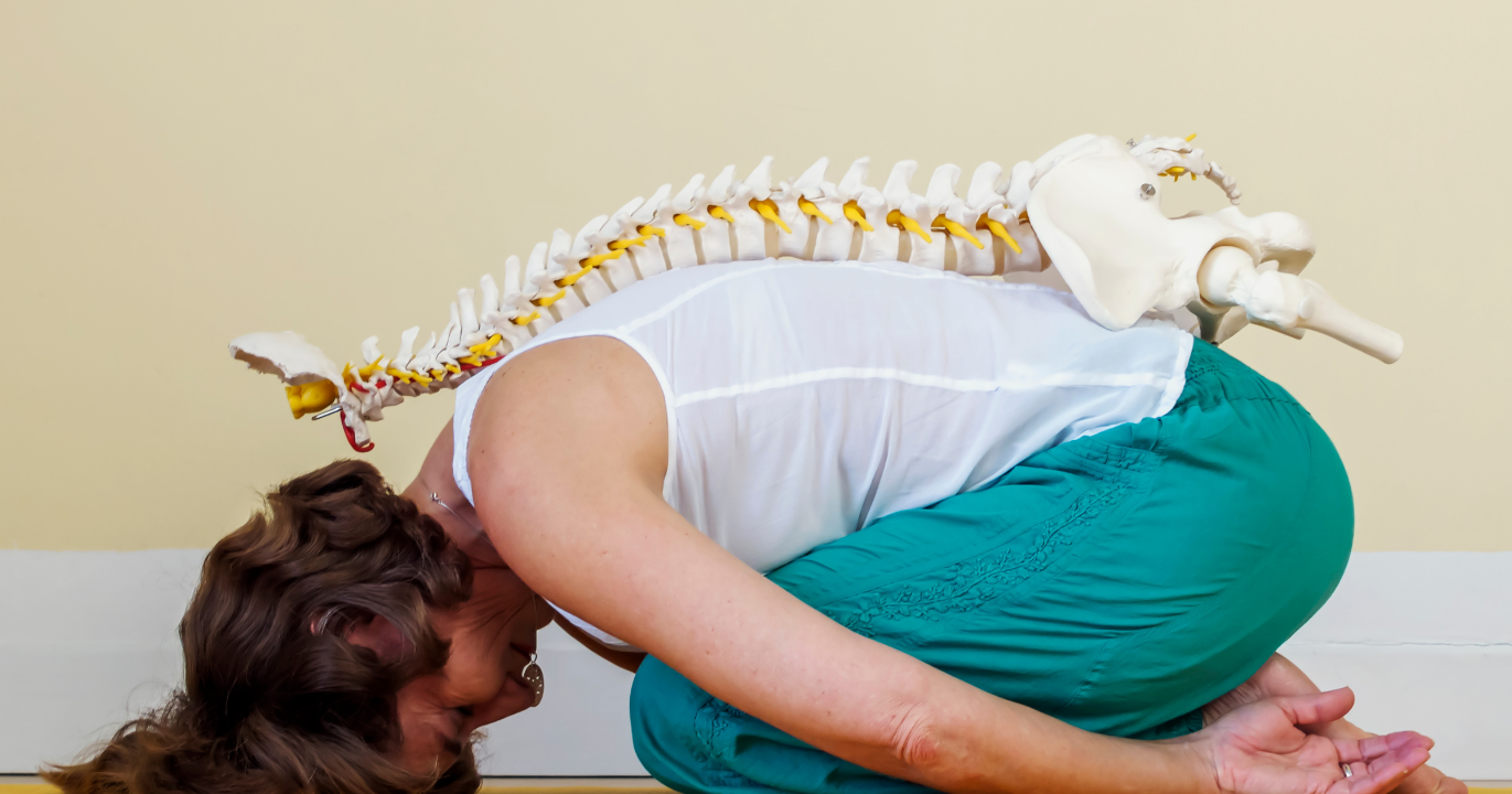 NZ Chiropractors Call on Kiwis to Support Your Spine on 16th October 2024 World Spine Day