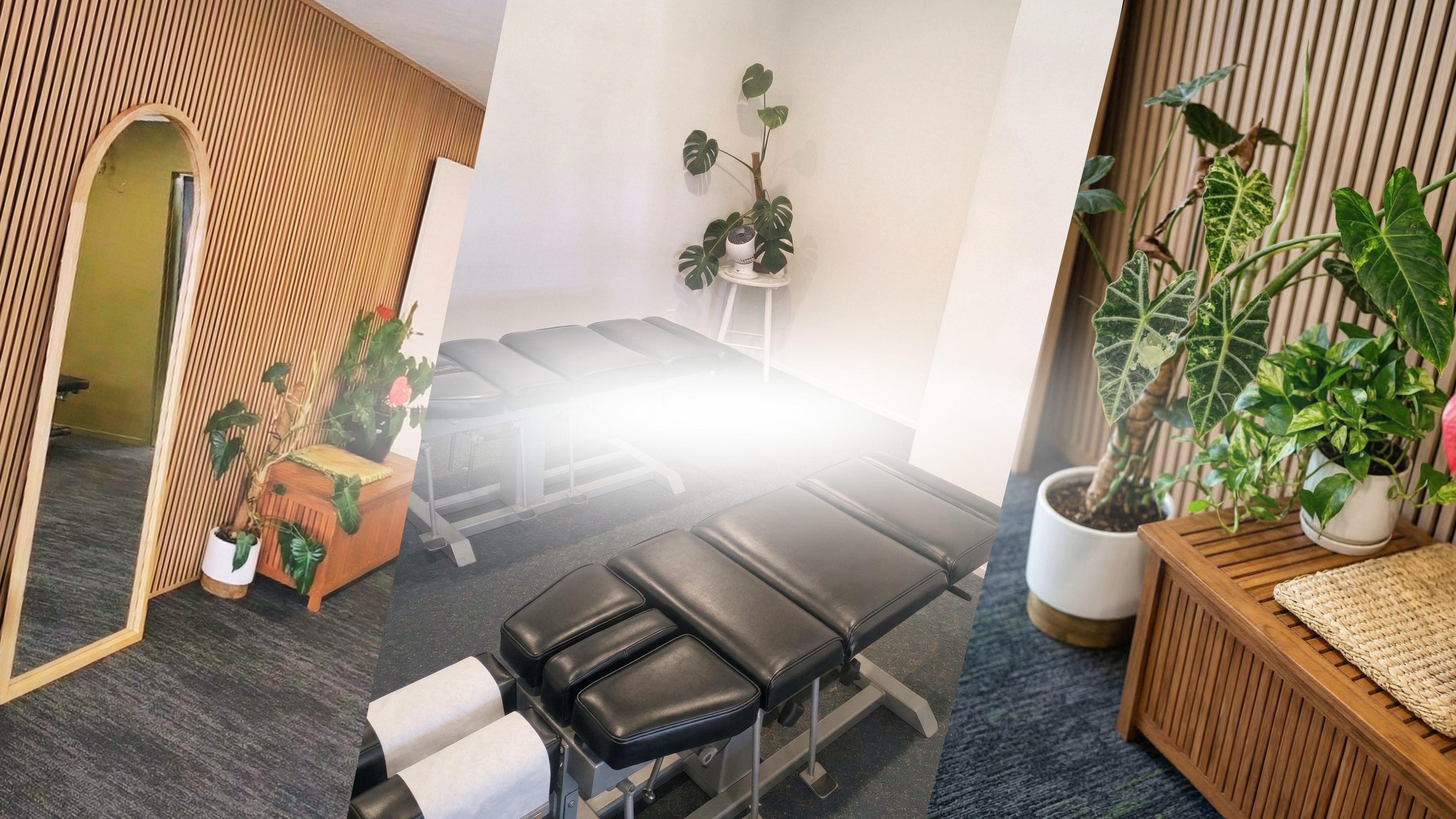 Hibiscus Chiro interior 2026 white